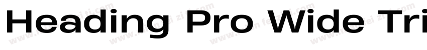 Heading Pro Wide Tri字体转换